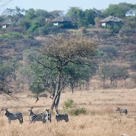 Mbalageti Serengeti Esterno foto
