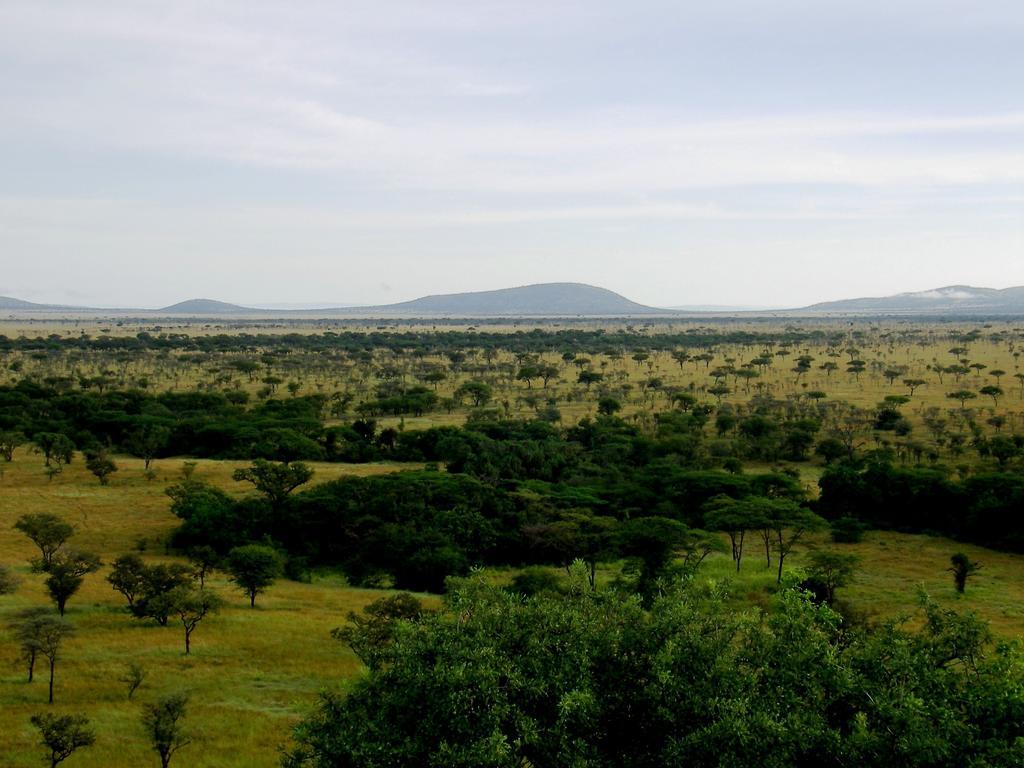Mbalageti Serengeti Esterno foto