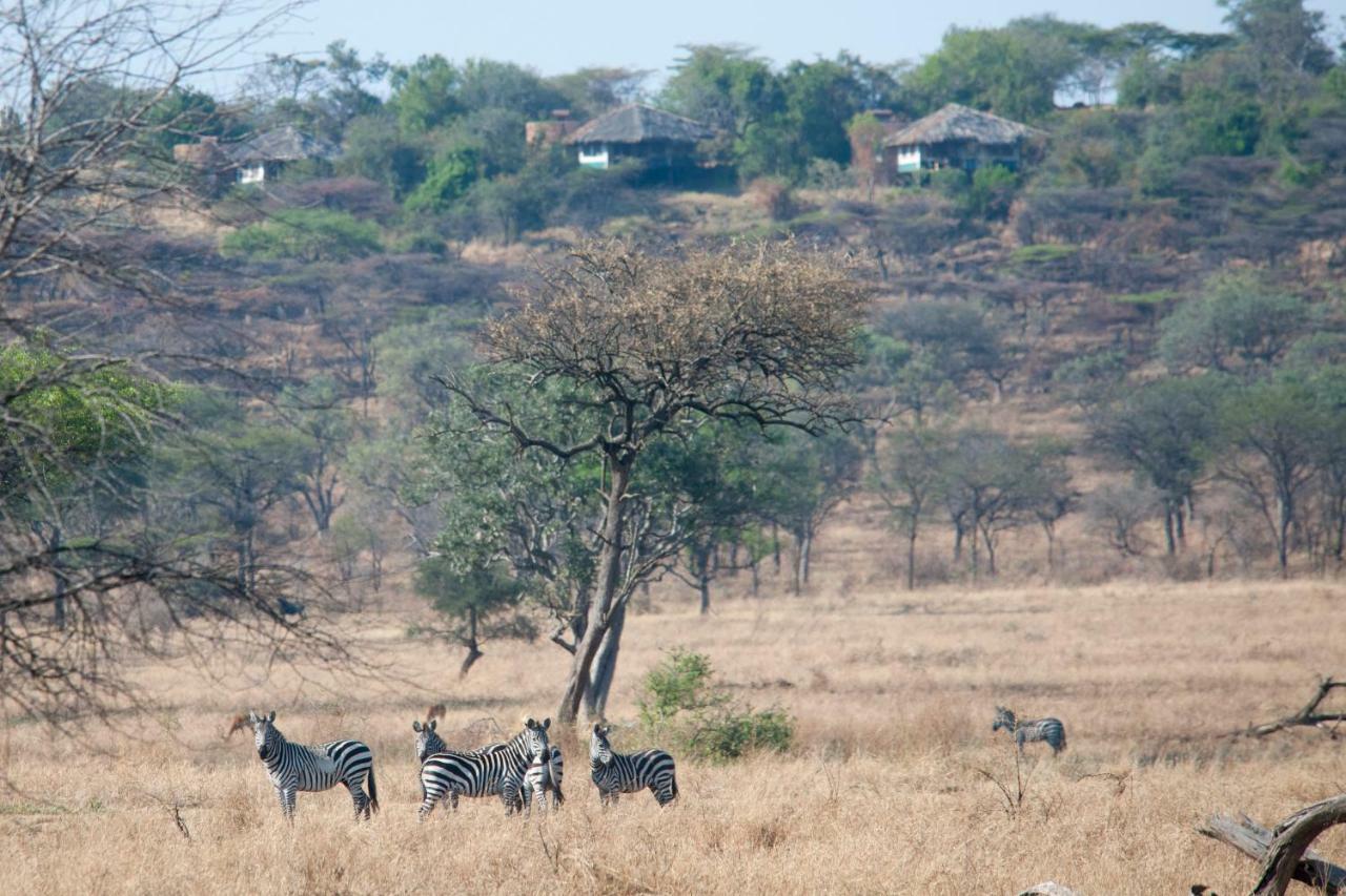 Mbalageti Serengeti Esterno foto